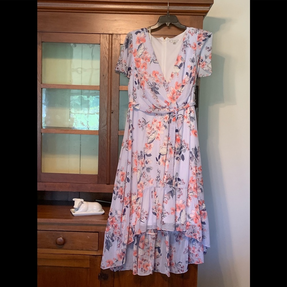 Woman’s Adorable Dress
